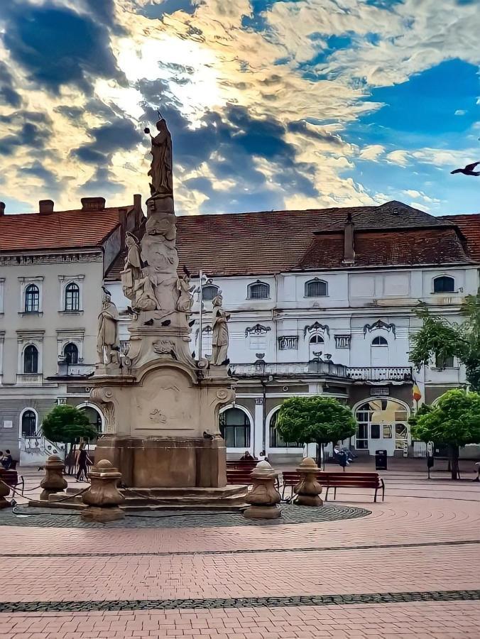 Belle Vue Ultracentral Apartments Timisoara Ngoại thất bức ảnh